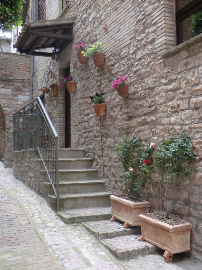 La Corta Di Spello Camere Exterior foto