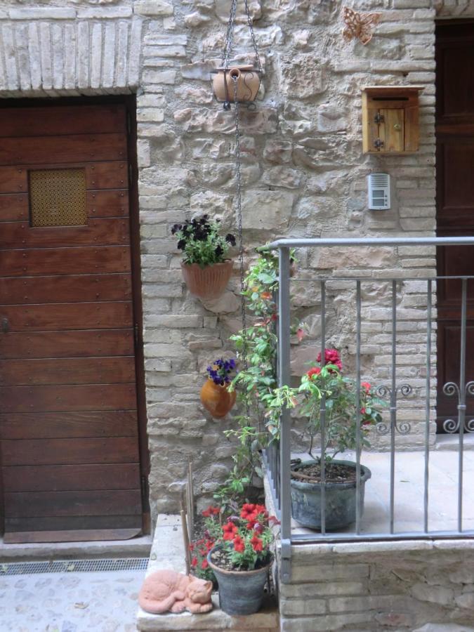 La Corta Di Spello Camere Exterior foto
